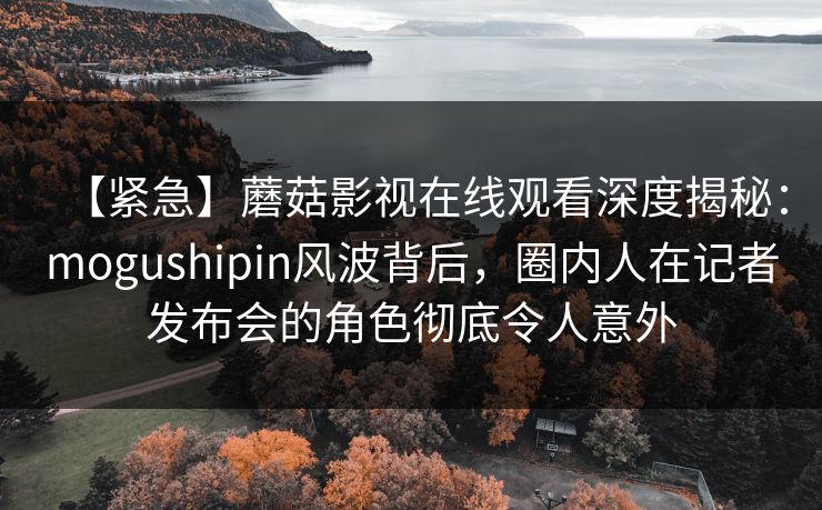 【紧急】蘑菇影视在线观看深度揭秘：mogushipin风波背后，圈内人在记者发布会的角色彻底令人意外